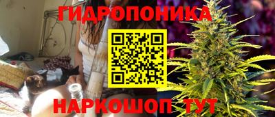мяу мяу мука Севастополь