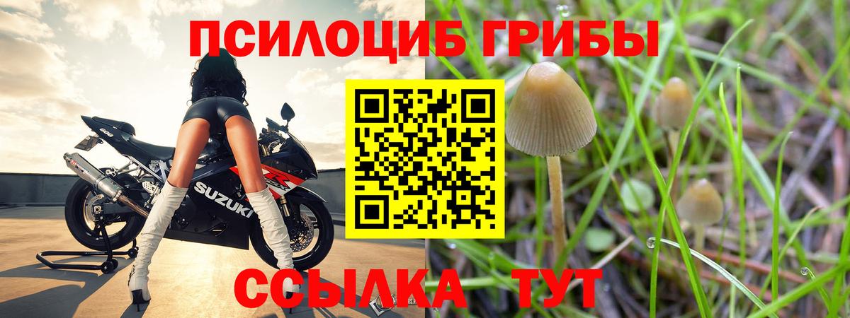 Галлюциногенные грибы мухоморы  Псилоцибиновые грибы Cubensis  Вход с VPN  Орск 