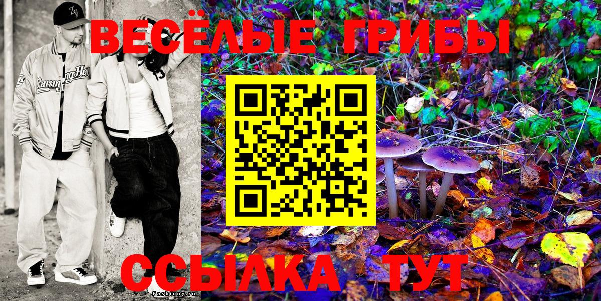 Псилоцибиновые грибы Psilocybe Орск
